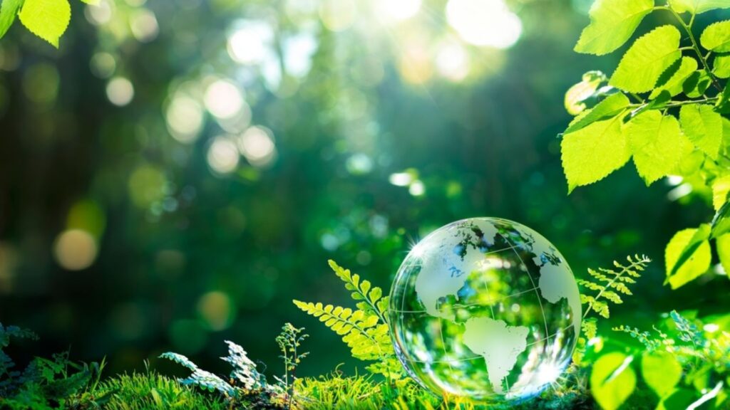 Rendre votre événement spécial grâce à un environnement sur-mesure