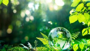 Blog 29 Rendre votre événement spécial grâce à un environnement sur-mesure