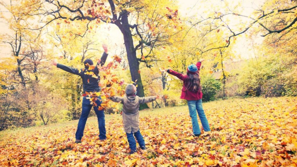 Organisez un événement pour la fête de la Toussaint dans une salle moderne