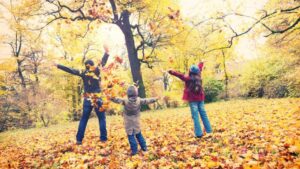 Blog 49 Organisez un événement pour la fête de la Toussaint dans une salle moderne