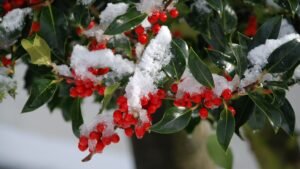 Organisez une fête de Noël avec une salle équipée de projection et sonorisation