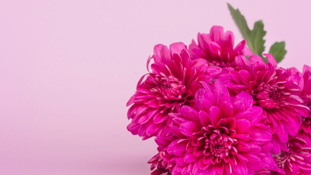 Louez une salle pour organiser un événement à la fête des mères, avec des équipements audiovisuels