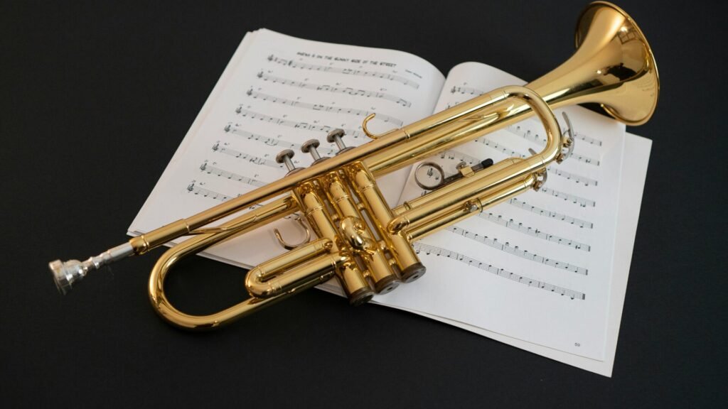 Organisez une soirée à la fête de la musique dans une salle équipée pour des concerts