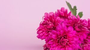 Blog 5 Louez une salle pour organiser un événement à la fête des mères, avec des équipements audiovisuels